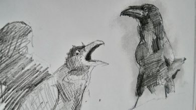 Ravens illustration by Keiron, project participant
