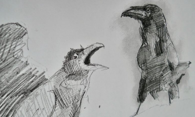 Ravens illustration by Keiron, project participant