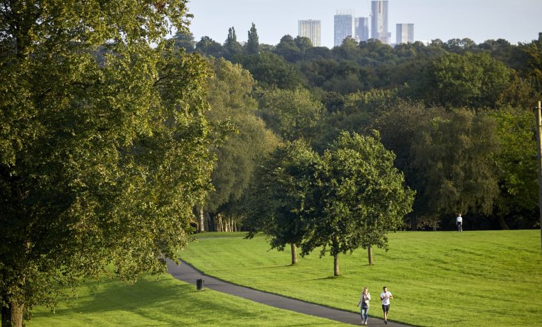 Picture of trees and grass in Heaton Park with Manchester skyline in the background
