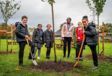 Children planting trees at St Willibrord’s RC Primary School in Clayton
