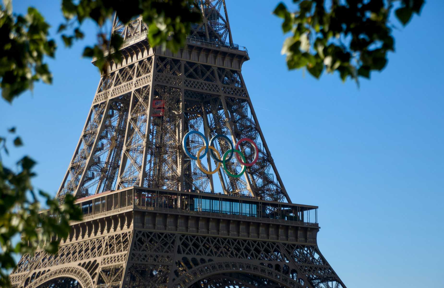 University cheers on Olympic and Paralympic medal hopefuls at Paris