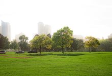 Five ways to make cities more resilient to climate change
