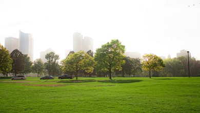 Five ways to make cities more resilient to climate change