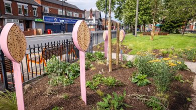 New green spaces ignite long-term investment for Moston Lane