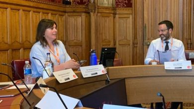 Professor advises Parliament on youth justice system reform