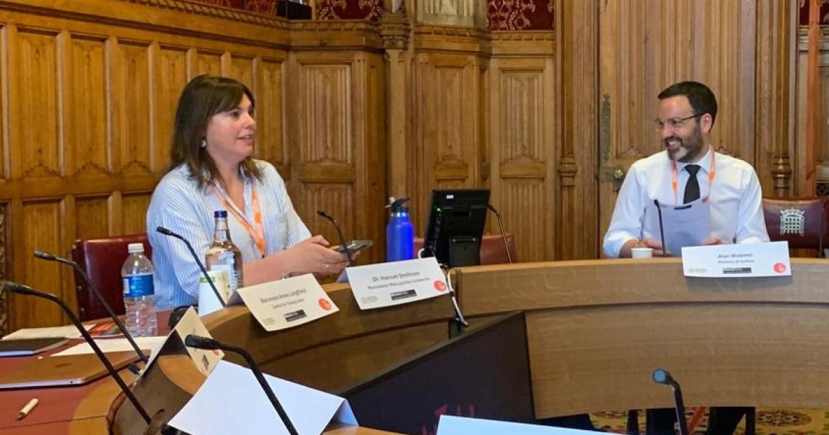 Professor advises Parliament on youth justice system reform
