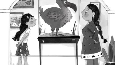Lecturer and student collaborate on tropical adventure children’s book