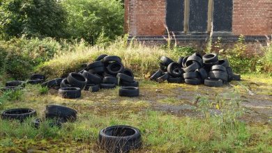 Fly-tipper slapped with costs and unpaid community work