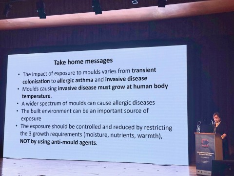 Damp, Mould and Health — BBC Coverage and International Conference Highlight Manchester Expertise