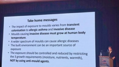 Damp, Mould and Health — BBC Coverage and International Conference Highlight Manchester Expertise