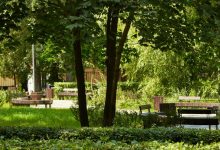 New research on green spaces to boost stroke patients’ recovery
