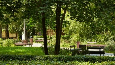 New research on green spaces to boost stroke patients’ recovery