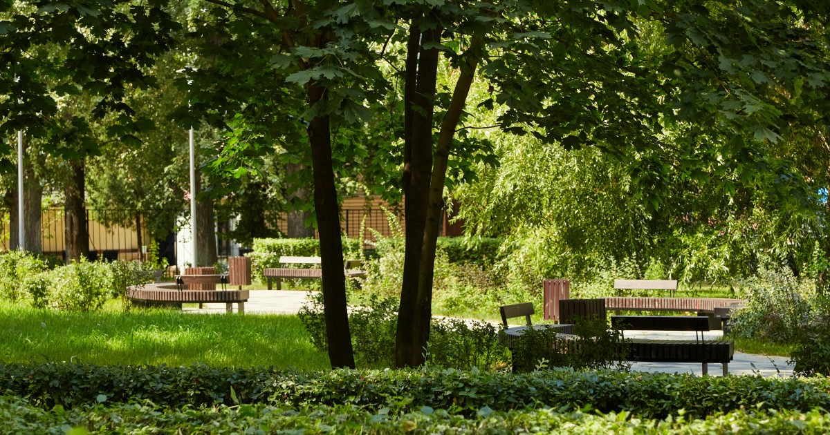 New research on green spaces to boost stroke patients’ recovery