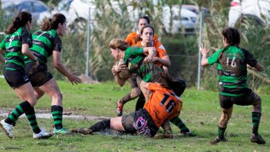 New resources empower elite women athletes with groundbreaking health insights