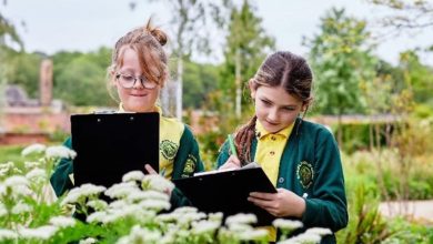 Over a quarter of schools in England are transforming their sites for nature