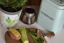 Food waste at Christmas: why prevention, not recycling, is the real gift to the planet