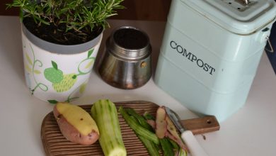 Food waste at Christmas: why prevention, not recycling, is the real gift to the planet