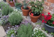 Manchester In Bloom: Winners announced as communities grow greener and stronger across the city