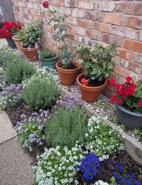 Manchester In Bloom: Winners announced as communities grow greener and stronger across the city