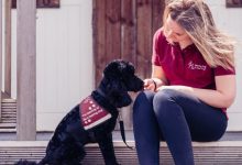 Life-changing bond between hearing assistance dogs and humans to be boosted by relationship-based study