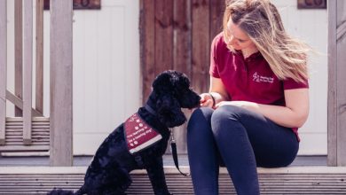 Life-changing bond between hearing assistance dogs and humans to be boosted by relationship-based study