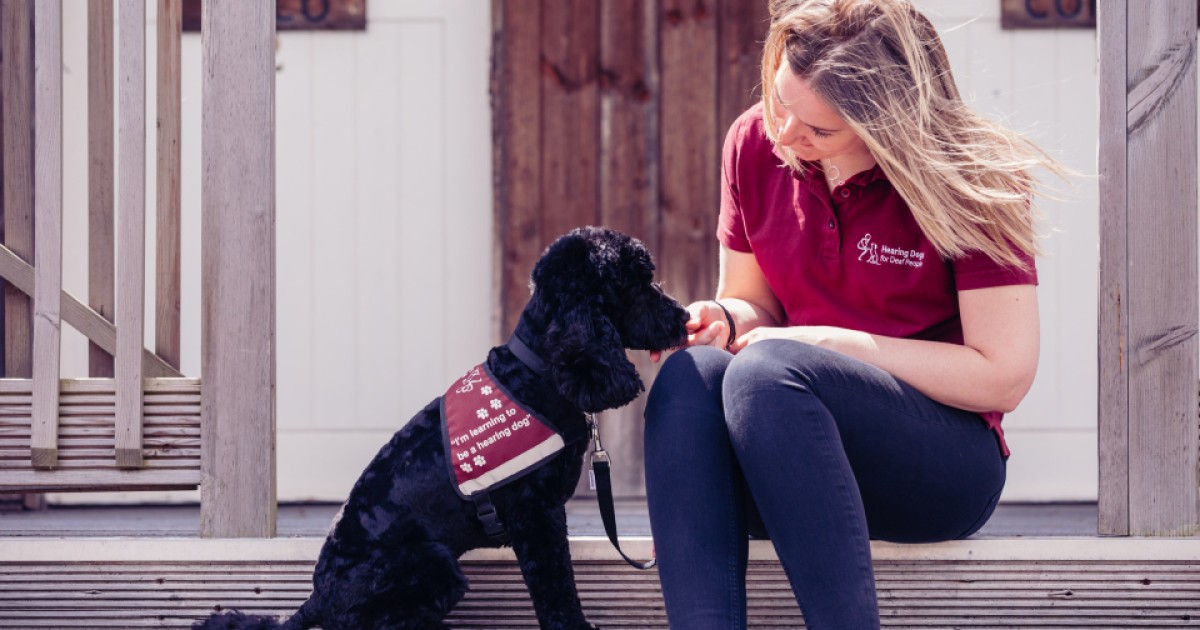 Life-changing bond between hearing assistance dogs and humans to be boosted by relationship-based study