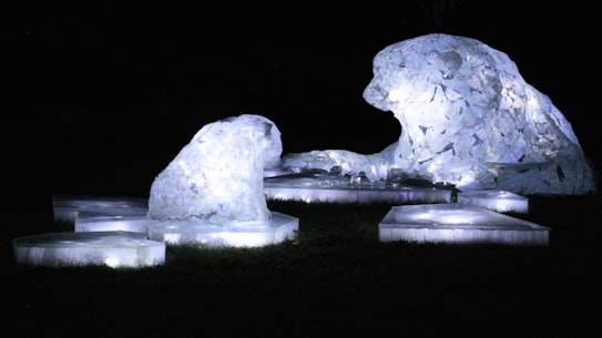 11. POLAR Copy of smaller