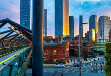 Council Leader responds to the annual Crane Survey