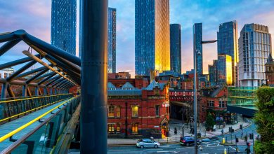 Council Leader responds to the annual Crane Survey