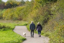 Pets may benefit people with dementia, new research shows