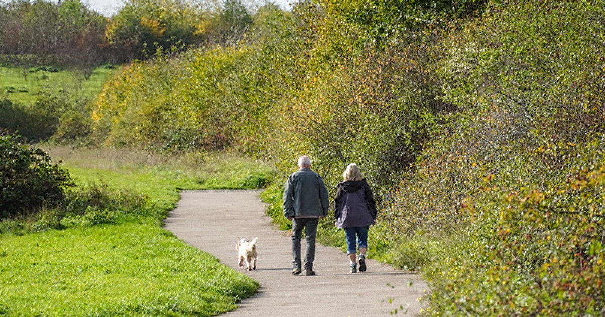 Pets may benefit people with dementia, new research shows