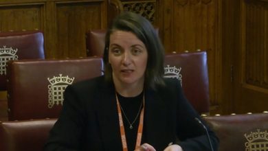 Professor advises House of Lords on how to protect victims of domestic abuse