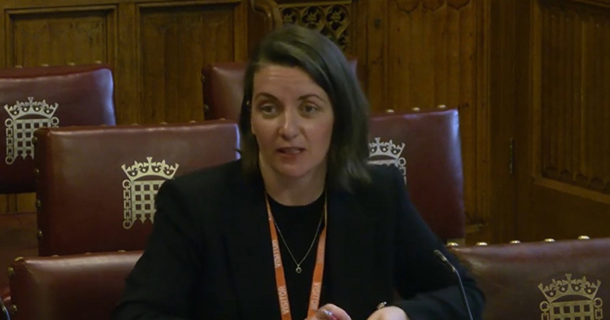Professor advises House of Lords on how to protect victims of domestic abuse
