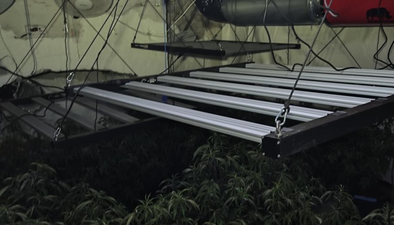 Crime Crackdown Continues in Oldham as Derker Policing Efforts Deliver Results